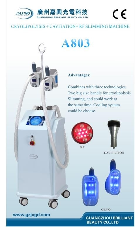 Cryolipolysis non dilagante che dimagrisce l'attrezzatura di bellezza con il tocco a 8 pollici Screen/A804 di colore