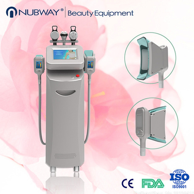 Corpo della macchina 2014/Cryolipolysis di Cryolipolysis che dimagrisce l'attrezzatura di bellezza